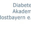 diabetesakademie.net