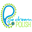 pipedreampolish.com