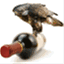 thewinefalcon.com
