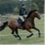 smalandhorsestory.wordpress.com