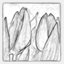 jochen-roemling.net