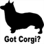 corgirental.com