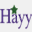 hayytech.com