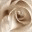 avalynnonline.wordpress.com