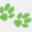 rspcaqld.org