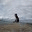darrelhoff.wordpress.com