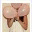 cassandraphoto.wordpress.com