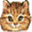 kittyjunim.com