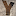 yanimation.com