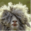 goatdroppingsofwisdom.wordpress.com