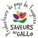 professionnels.saveursaugallo.fr