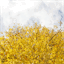 freenaturestock.com