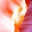 kramann.net