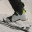 carpath.wordpress.com