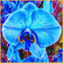 digitalpaintbrush.com