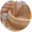 capecodpotters.org