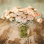 salafiyyah.over-blog.com