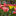 discoveringmeaninginlife.blogspot.com