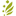 papadim.com