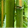 piacter.bambuszvirag.net