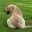 hicksau.wordpress.com