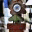 laconservadellaneve.wordpress.com
