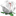 phantomrose.com