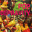 popdepravity.com