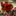 shaolincenter.org