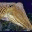 flyingcuttlefish.wordpress.com