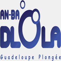 guadeloupe-plongee.fr