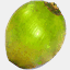 cookycoconuts.com