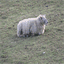 myscottishexp.over-blog.com