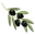 pourvous.co.nz