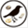 aico-oiseaux.com