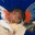 borrowsmusichistoryblog.wordpress.com