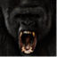 apacheathlete.com