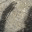 mickeystone.wordpress.com
