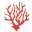 calypsonia.com