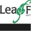 leaffilter.wordpress.com