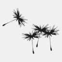 dunnright2.weebly.com