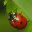 luvlybug.wordpress.com