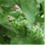 theethitarian.com
