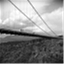 analogues.wordpress.com