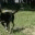 joshdujour.wordpress.com