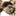 micreations.org