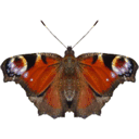 easyfatlossproducts.com