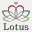 flower-lotus.com