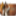 josepereira.net