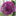 outerspace-gardendesign.co.uk